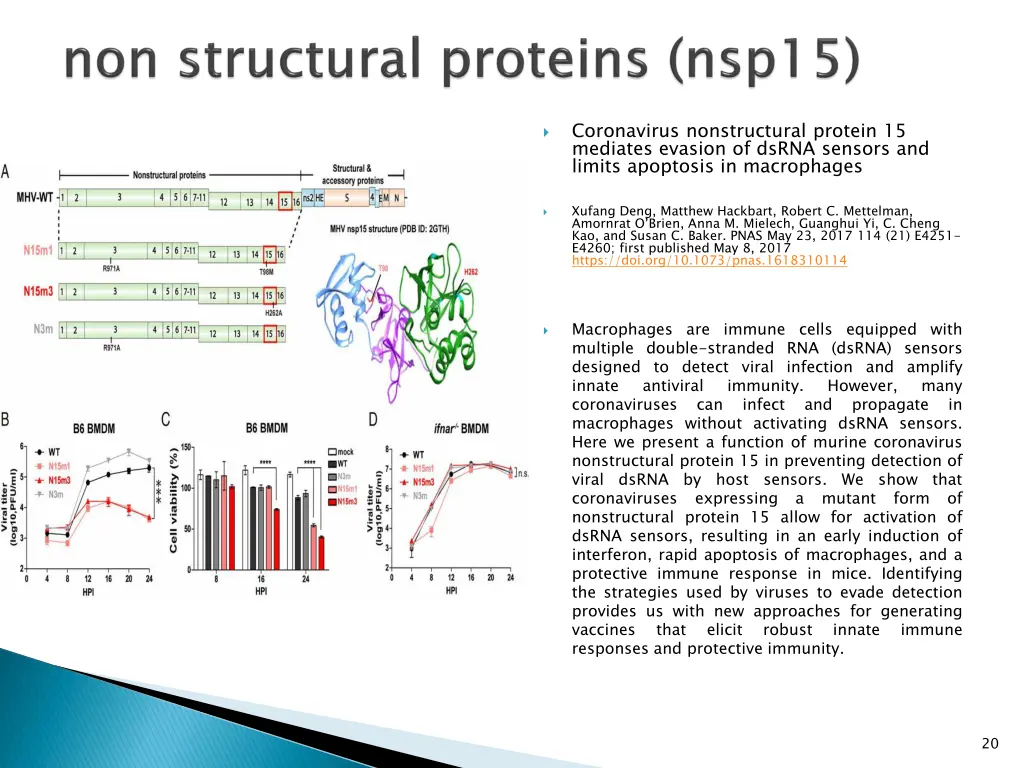 coronavirus nonstructural protein 15 mediates