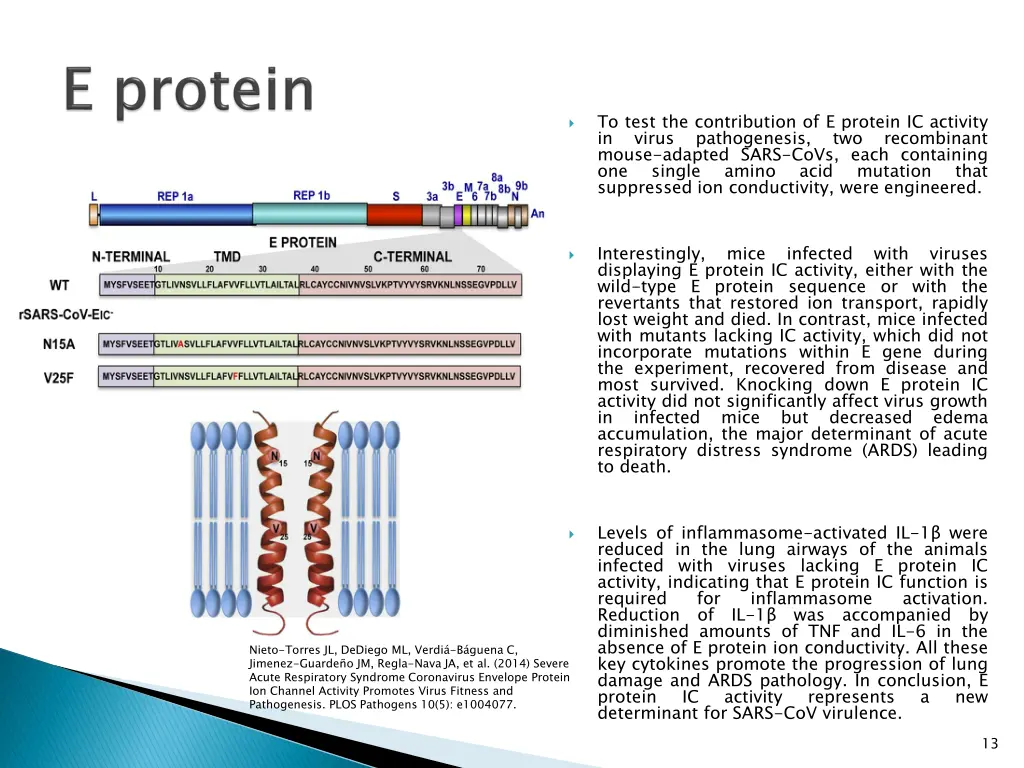 to test the contribution of e protein ic activity