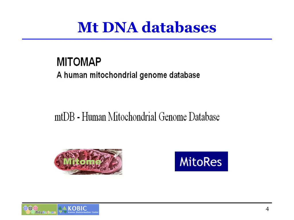 mt dna databases