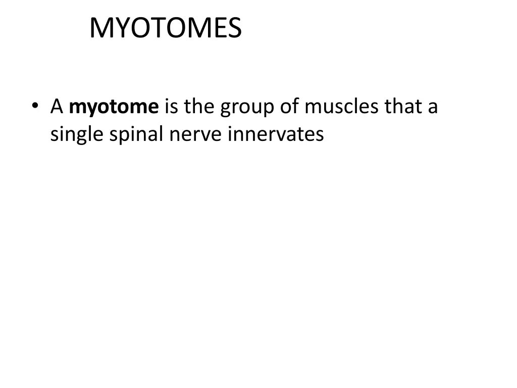 myotomes