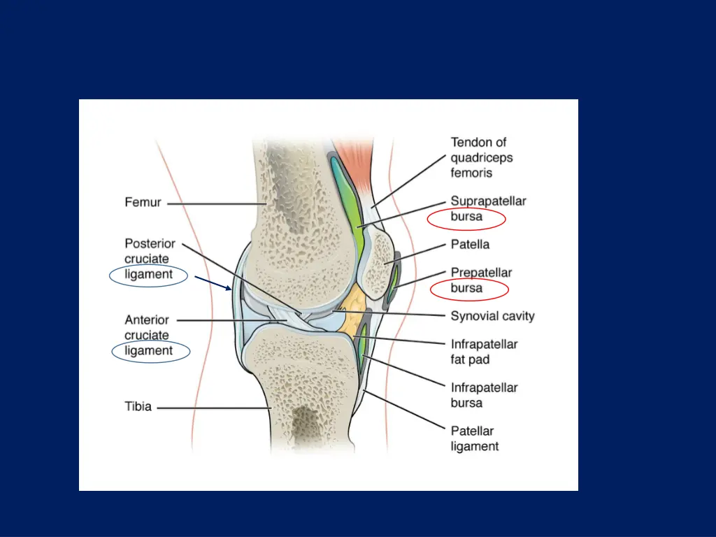 slide12