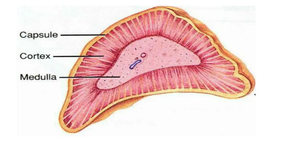 slide38