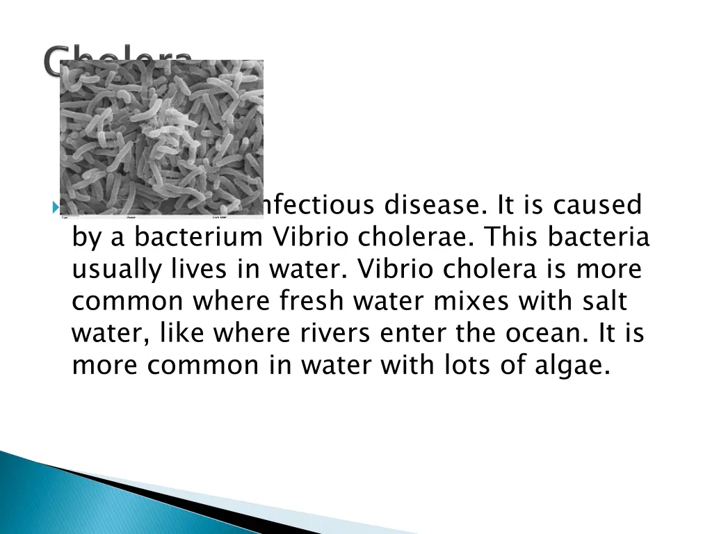 cholera is an infectious disease it is caused