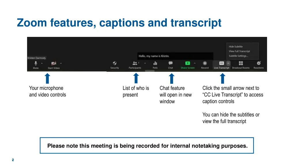 zoom features captions and transcript