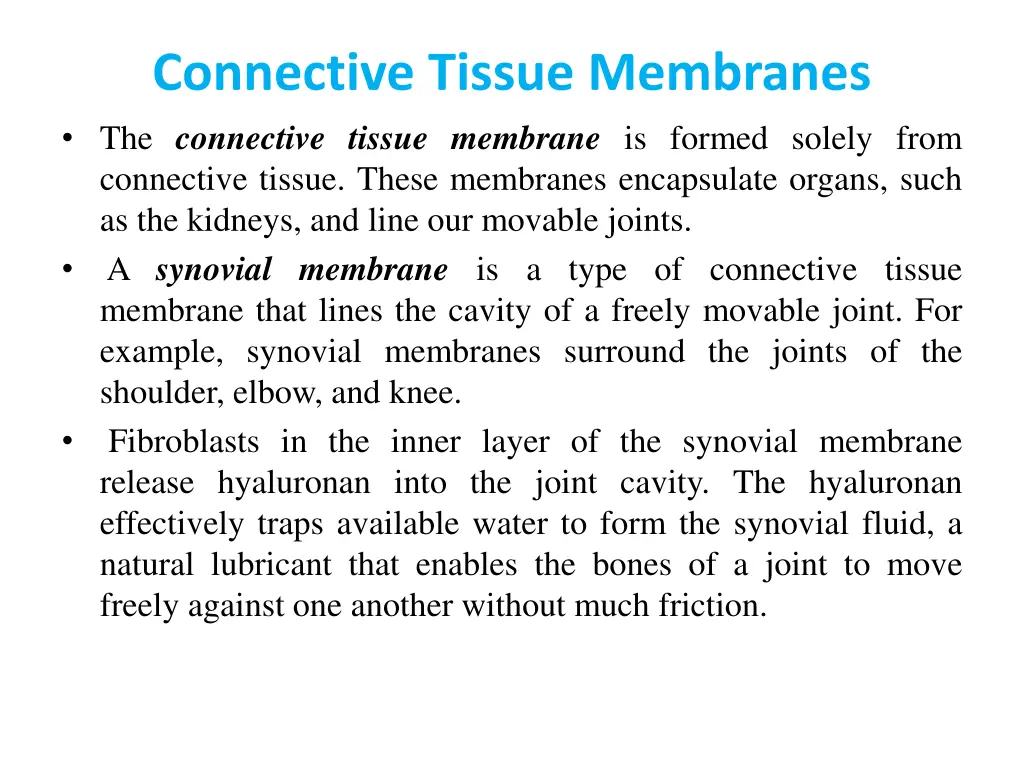 connective tissue membranes the connective tissue