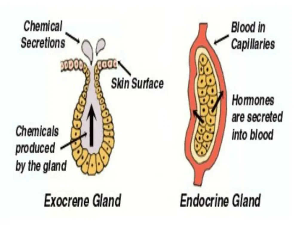 slide11