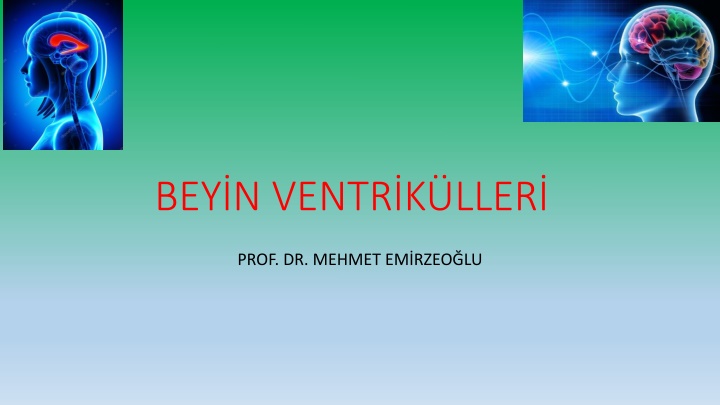 bey n ventr k ller