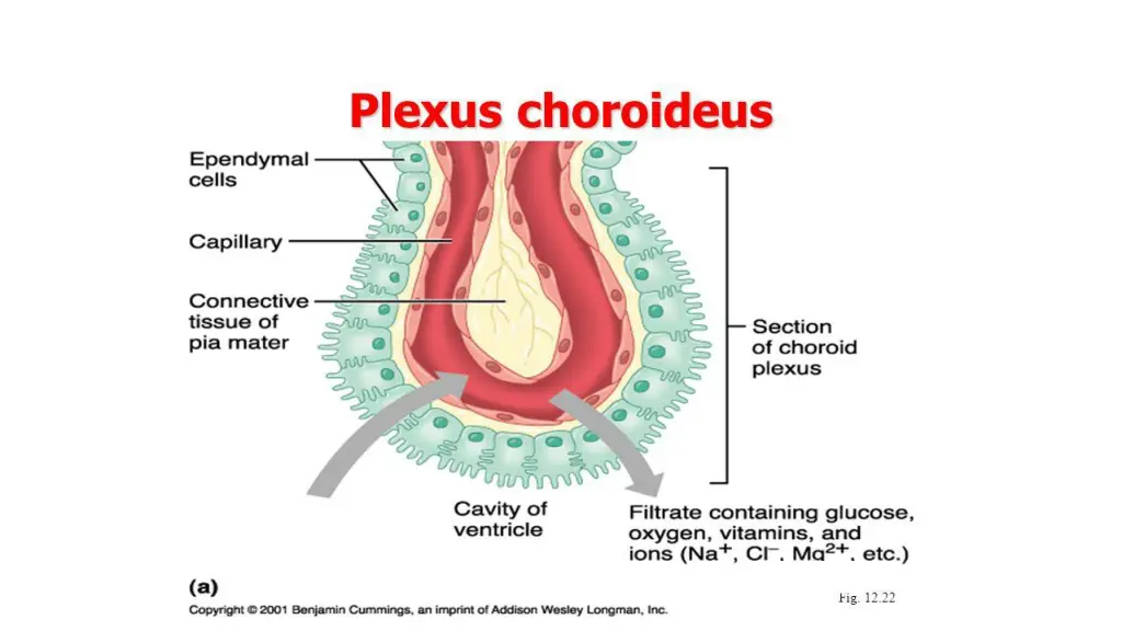 slide4