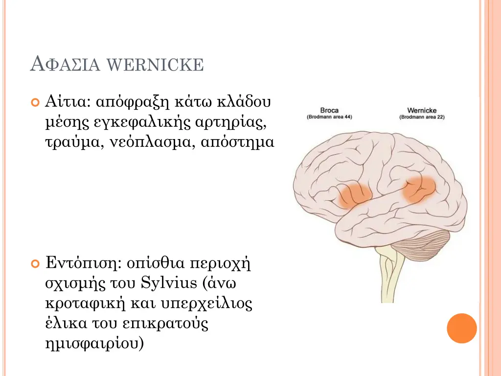 wernicke