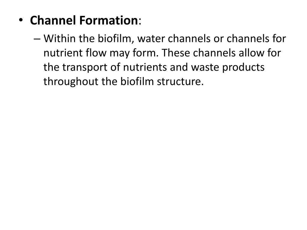 channel formation within the biofilm water