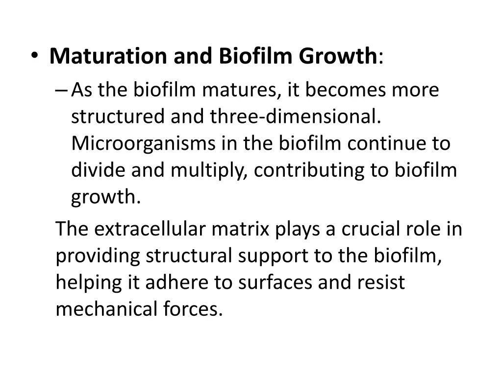 maturation and biofilm growth as the biofilm