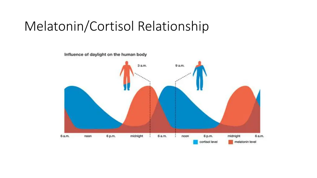 melatonin cortisol relationship