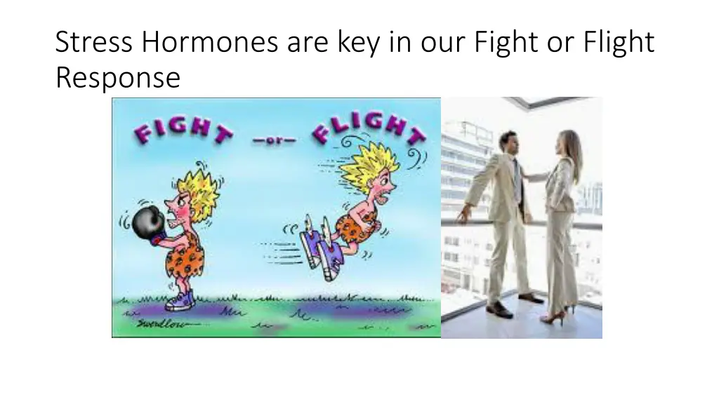 stress hormones are key in our fight or flight