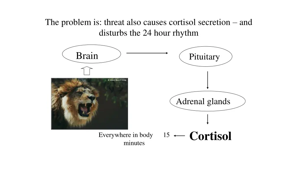 the problem is threat also causes cortisol