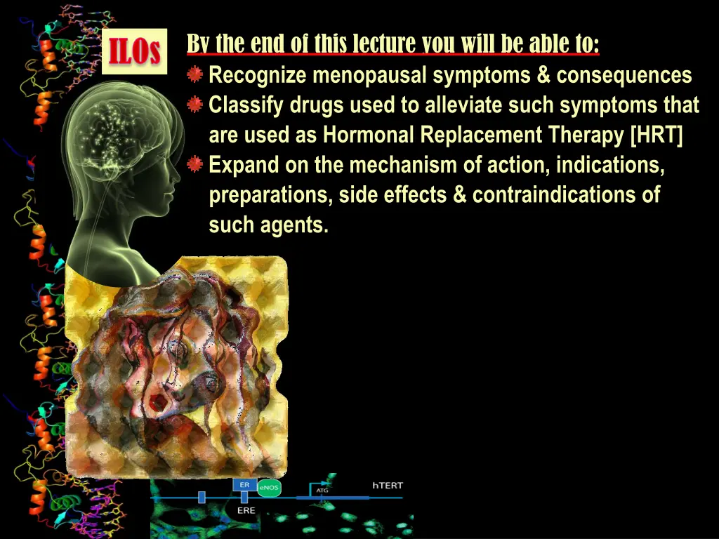 by the end of this lecture you will be able