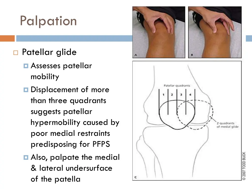 palpation 11