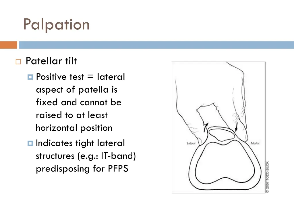 palpation 12