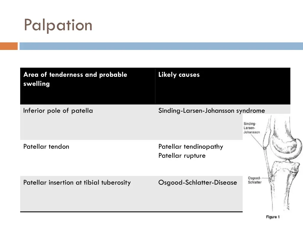 palpation 3