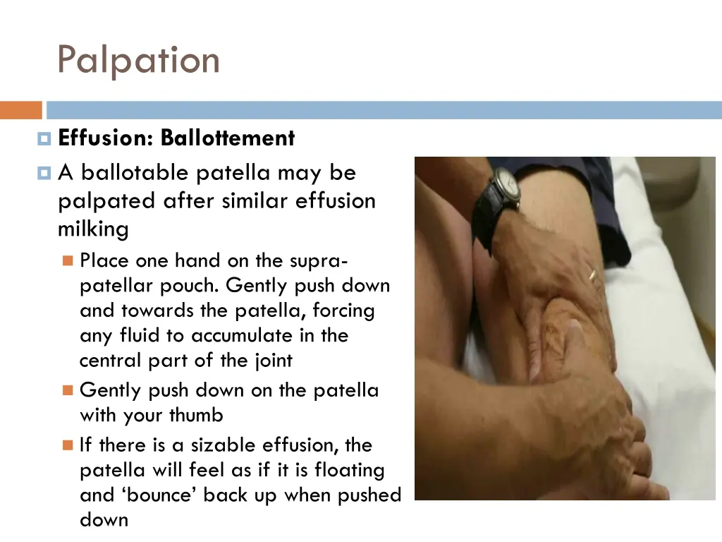 palpation 8