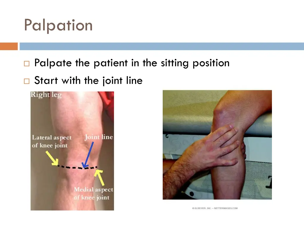 palpation