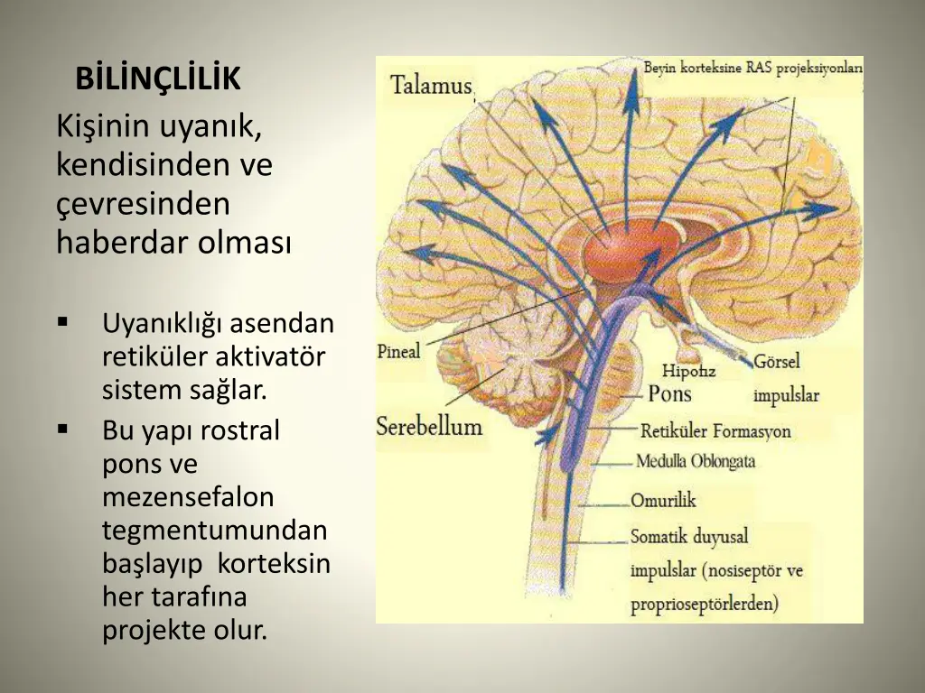 b l n l l k ki inin uyan k kendisinden