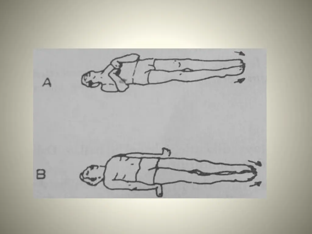 slide19