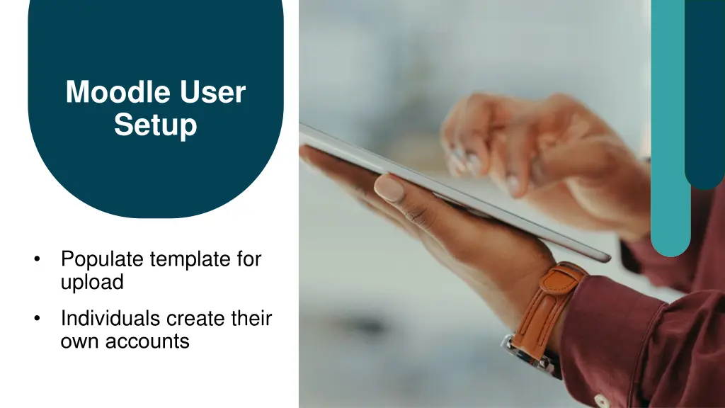 moodle user setup