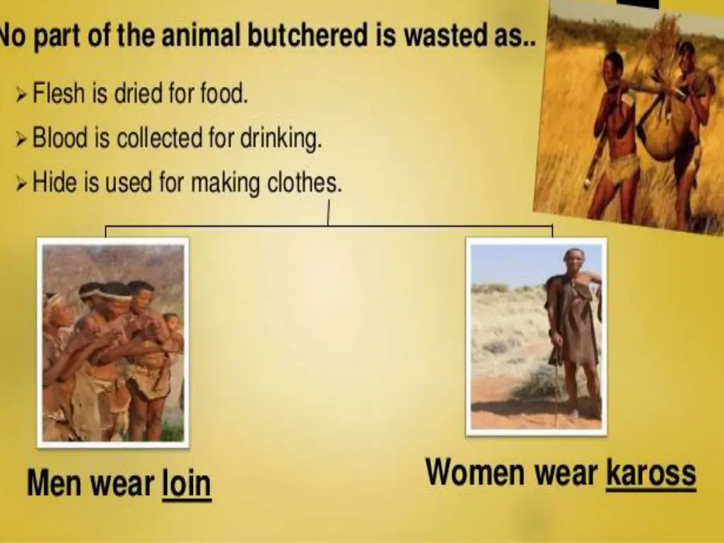 slide11