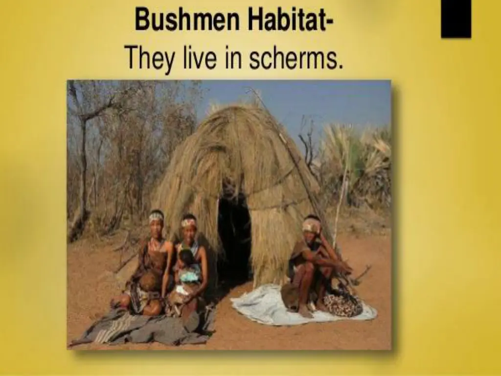 slide8