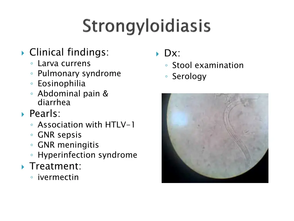 clinical findings larva currens pulmonary