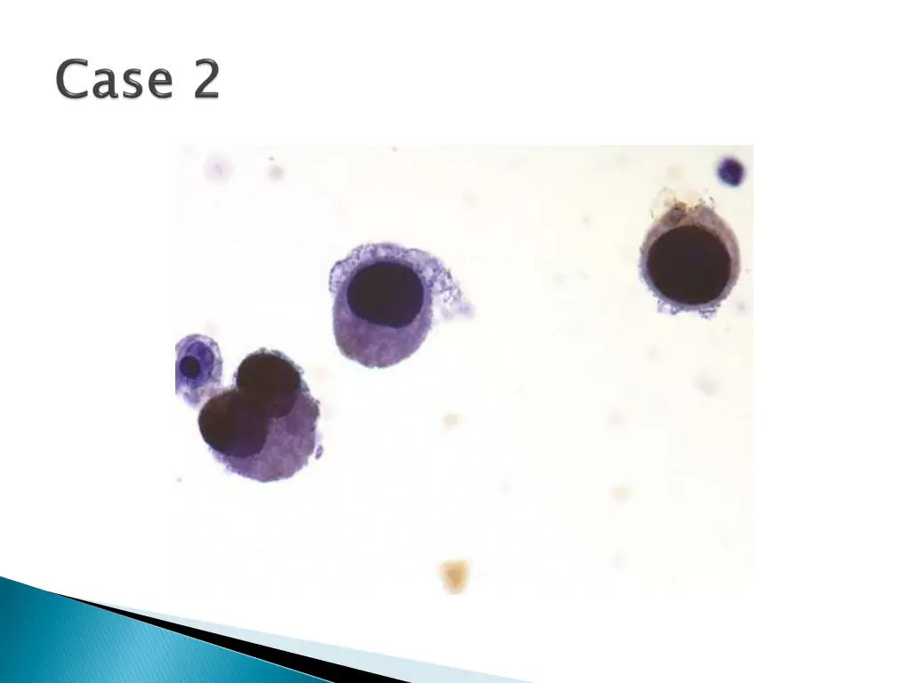 slide6