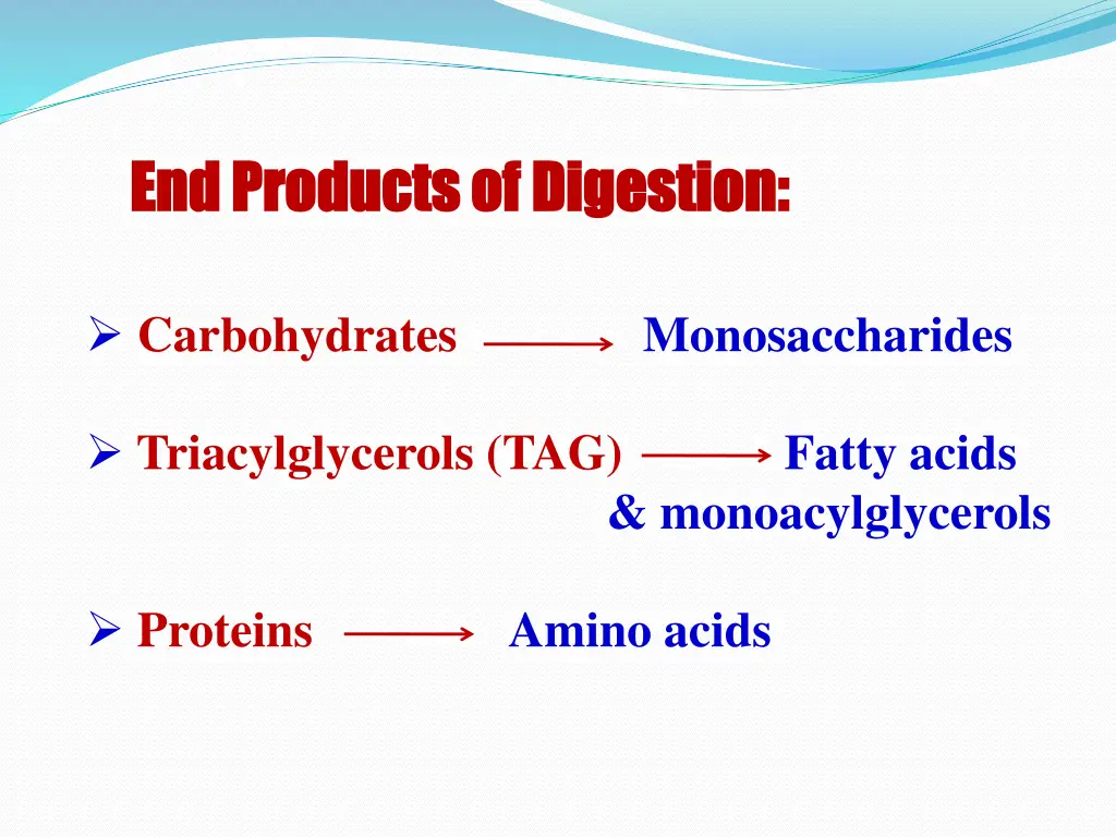 end products of digestion end products