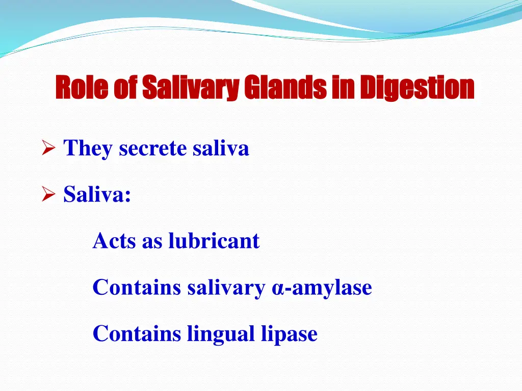 role of salivary glands in digestion role