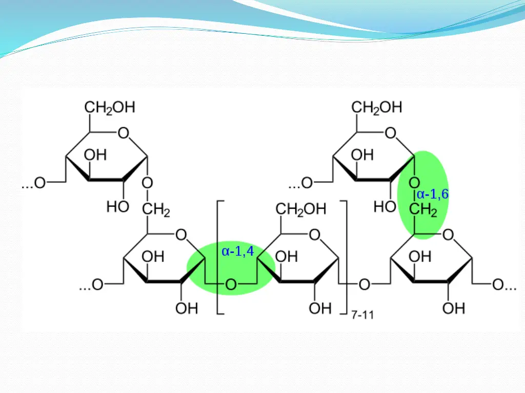 slide11