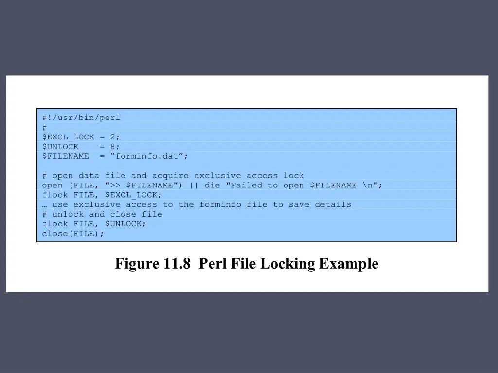 usr bin perl excl lock 2 unlock 8 filename