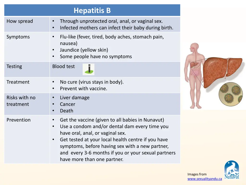 hepatitis b