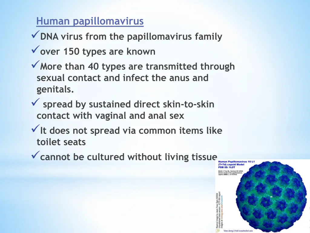 human papillomavirus dna virus from