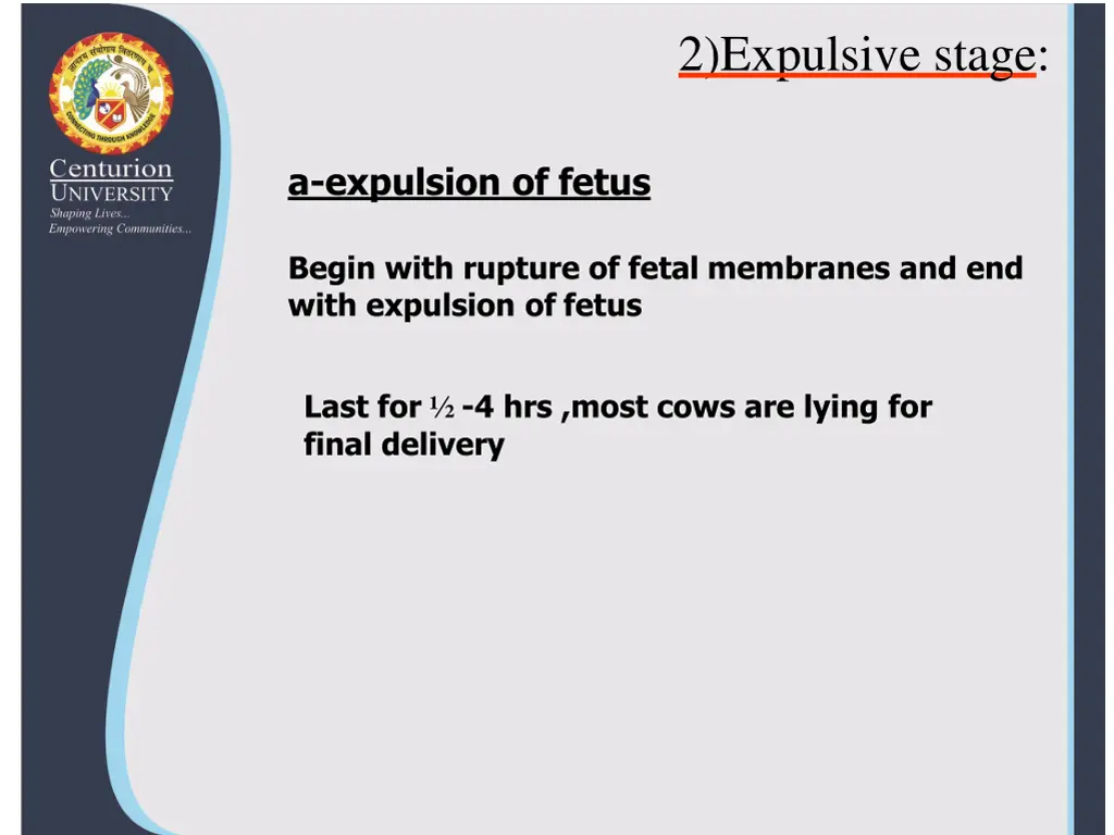 2 expulsive stage