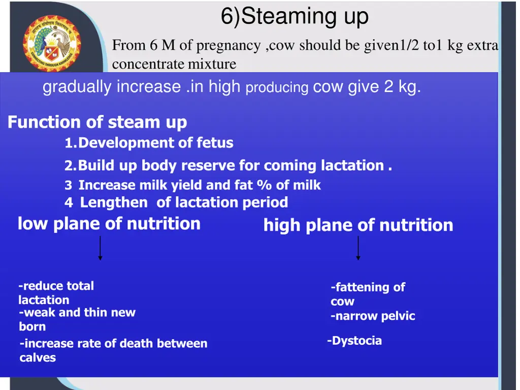 6 steaming up
