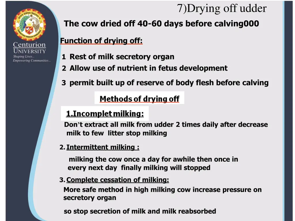 7 drying off udder