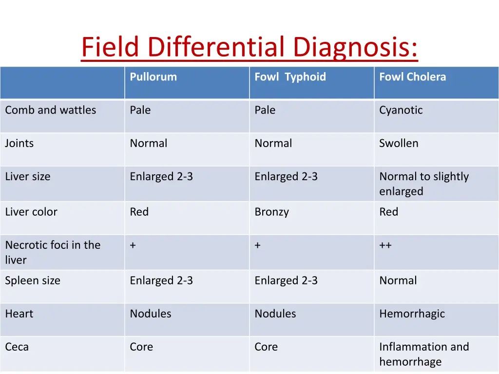 field differential diagnosis