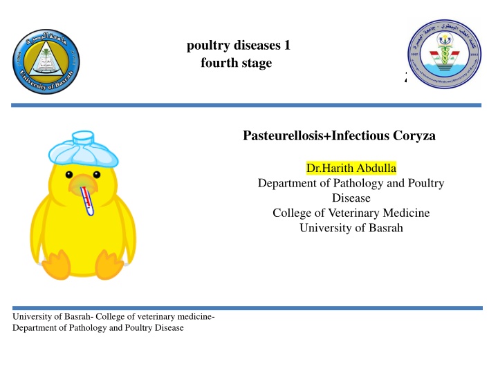 poultry diseases 1 fourth stage