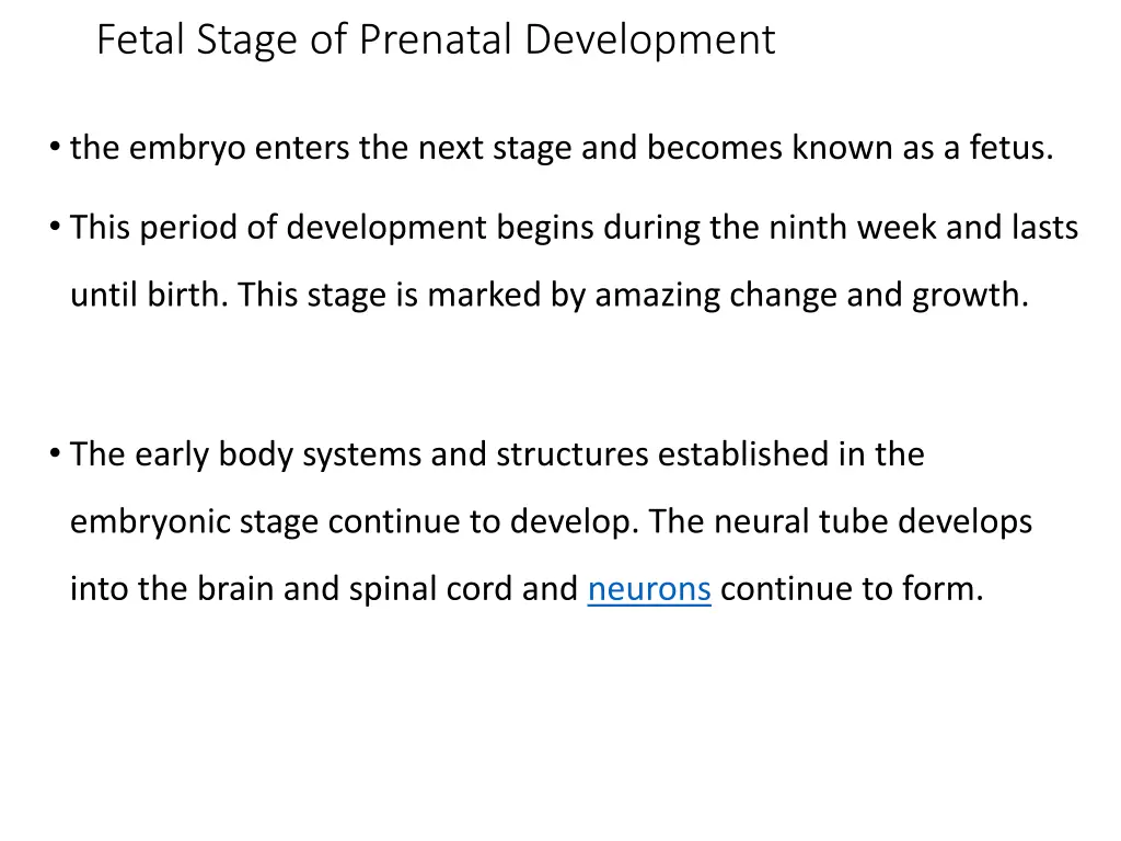 fetal stage of prenatal development