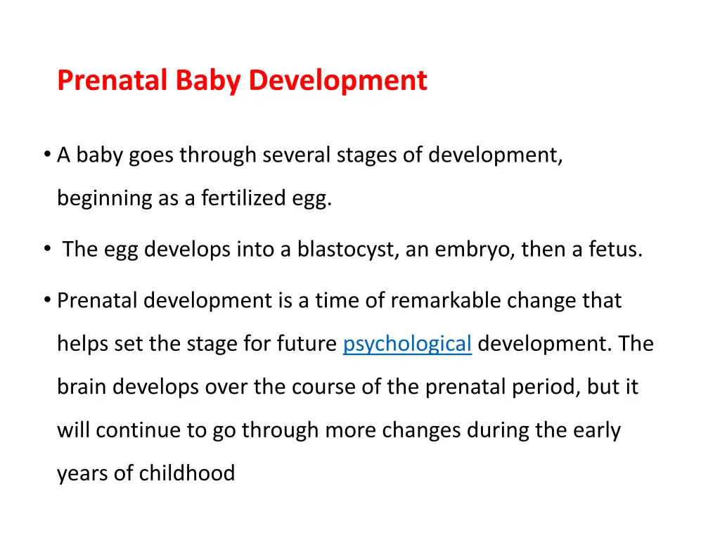 prenatal baby development