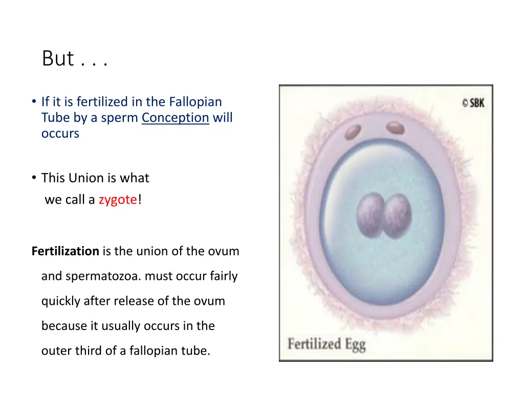 slide4
