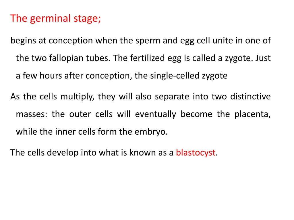 the germinal stage