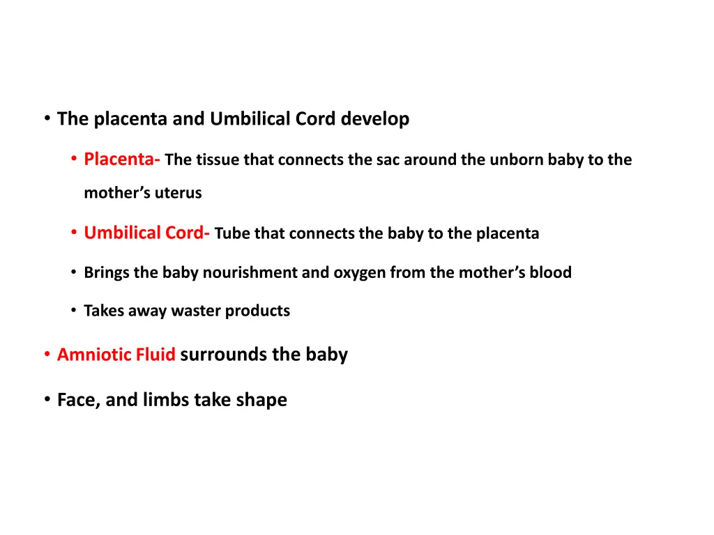 the placenta and umbilical cord develop