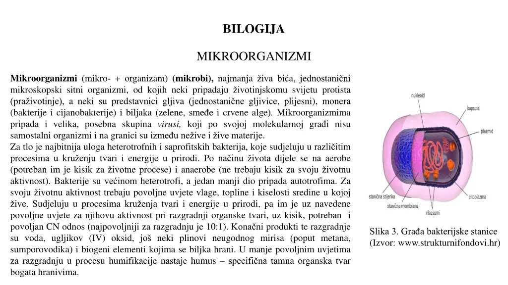 bilogija