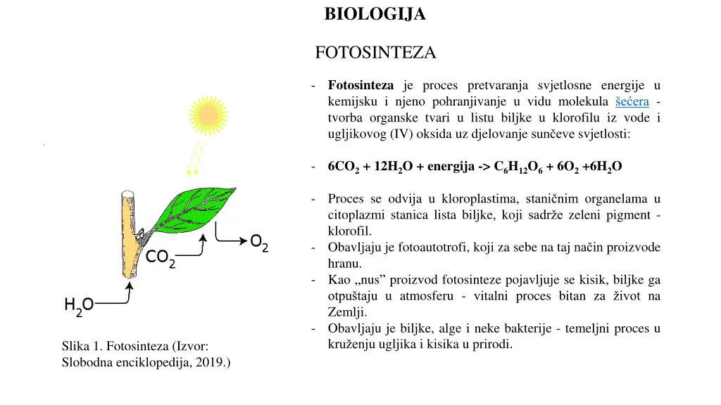 biologija