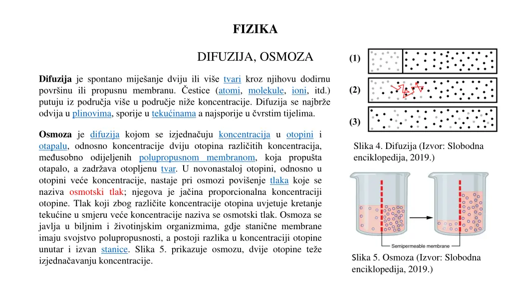 fizika